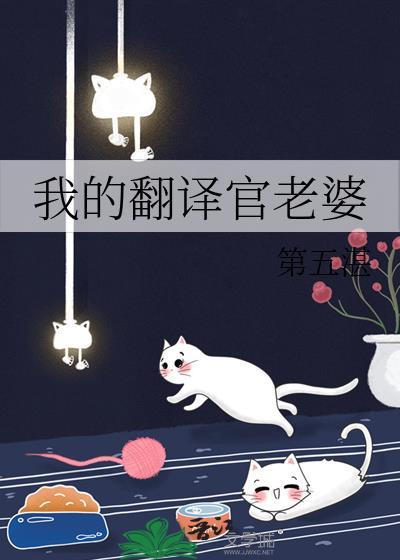 我的翻译官老婆作者第五湛
