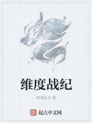 维度战纪